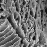 Figure 1. This image from a scanning electron microscope shows microbially induced corrosion in steel

Briem Engineering