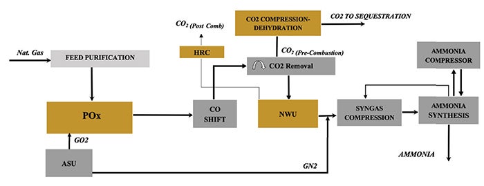 Selecting Blue-Ammonia Technologies