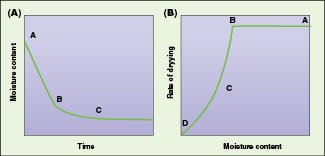 Drying Systems - Drying Curve - Definition