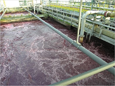 Facility operators often overlook the importance of establishing the right colony of microorganisms in an activated sludge system to target the biodegradable organic pollutants at hand