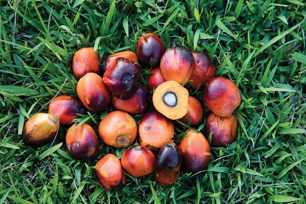 Figure 2. Palm oil is a major raw material in the specialty-chemical supply chain, and global efforts are underway to encourage its sustainble cultivation