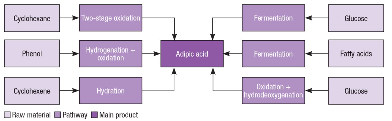Figure 2. Multiple production pathways exist for adipic acid