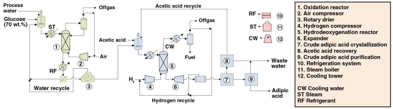 Figure 1. The production of bio-based adipic acid from glucose via a two-step catalytic process is shown here