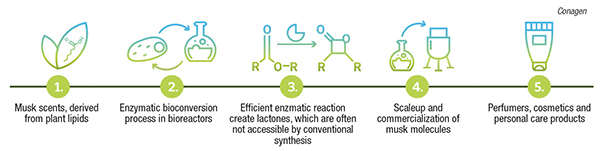 macrocyclic lactones