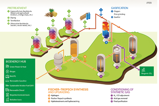 Scientists To Develop CO₂-Free Fermentation Technology Amid Surging Demand  for Low-Carbon Biofuel, News