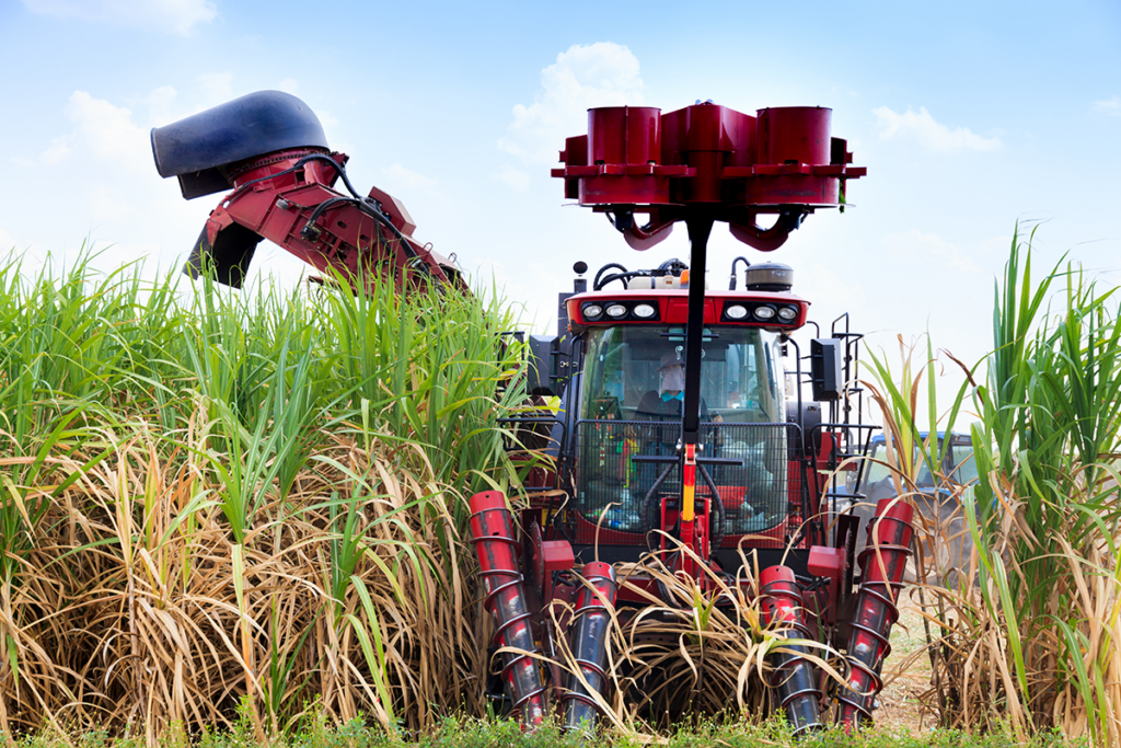 Endress + Hauser Bioethanol Stabilize fermentation & distillation for maximum yield Image