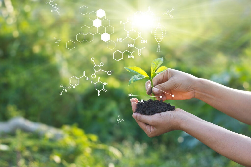 Endress+Hauser Biology laboratory nature and science, Plants with biochemistry structure on green background Image