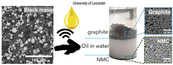 Battery recycling using vegetable-oil nanoemulsion