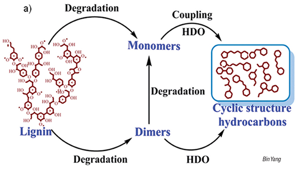 Innovative Hydrogen Storage Solution using Lignin-Based Jet Fuel