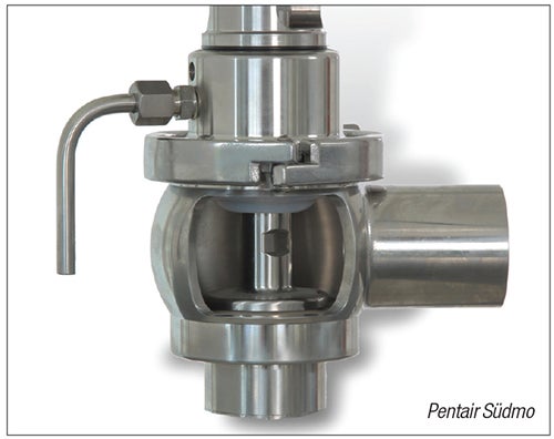 Valves for use in Sanitary Processes and High-Purity Applications ...