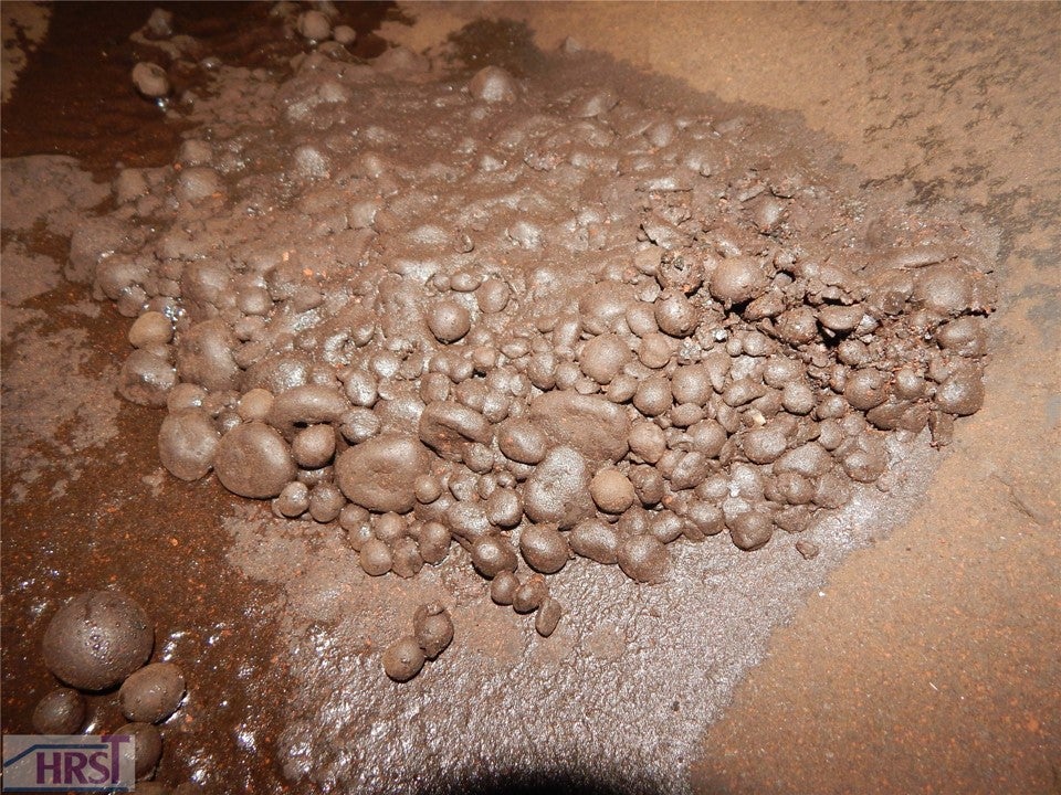 film-forming substances