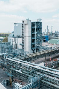 BASF Aroma Ingredients plant