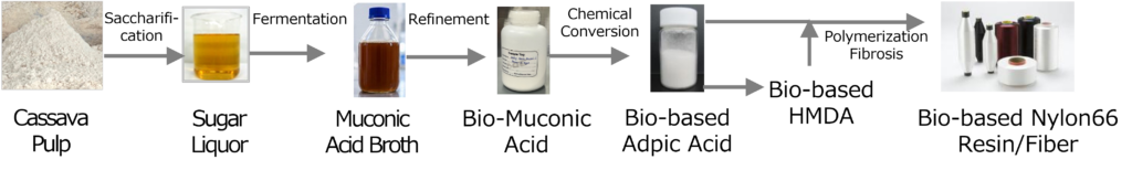 Toray PTTGC bio-based nylon process