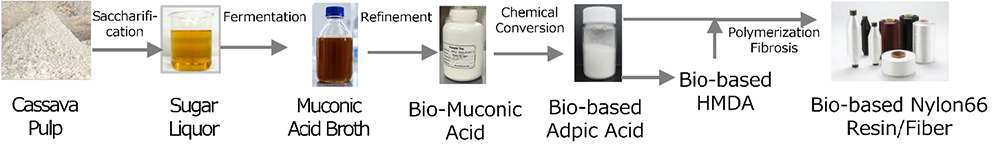Novel bio-based adipic acid pathway leads the way to waste-based nylon materials