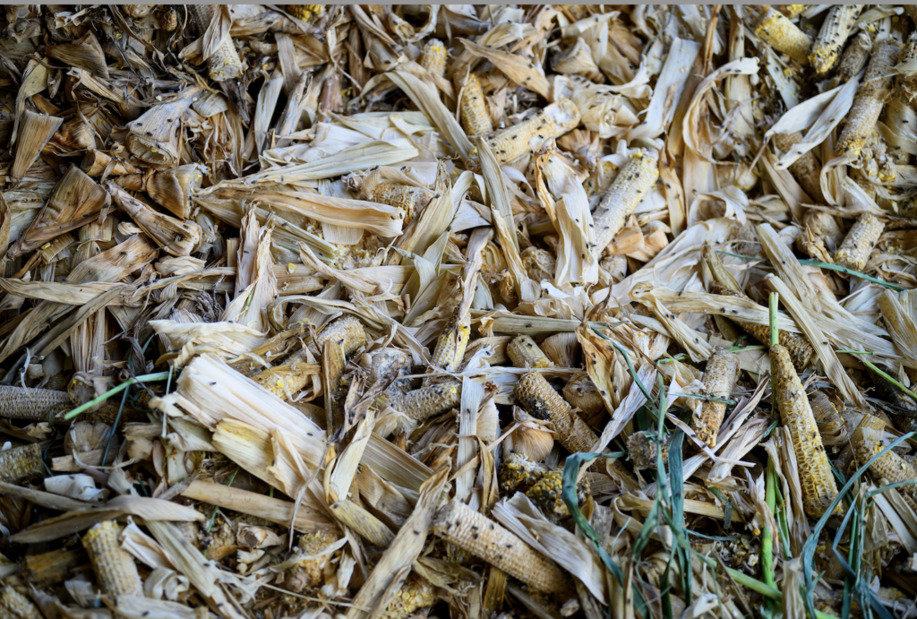 biomass residue
